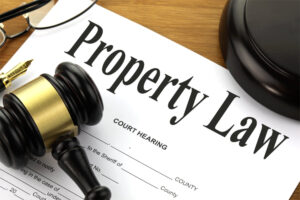 Property Document Verification Lawyers in Chandigarh